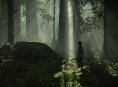 Bluepoint hides an Easter egg in Shadow of the Colossus