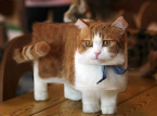 Mojang wants to add your cute cat to Minecraft